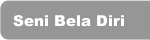 Seni Bela Diri